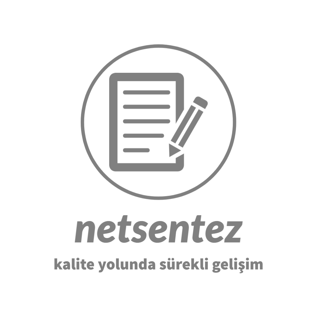 logo-netsentez